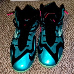 Lebron 11 South beach